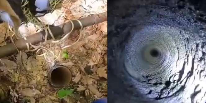 Temukan Lubang Pipa Misterius di Tengah Hutan, Saat Ditelusuri Pakai Kamera Hasilnya Bikin Jantungan