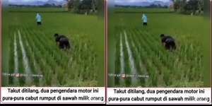 Pengendara Motor Ngeles Jadi Pencabut Rumput Sawah Lihat Razia Polisi, Endingnya Ngakak!