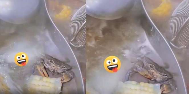 Viral Video Kepiting Direbus Malah Santuy 'Mandi Sauna' Sambil Makan Jagung di Panci