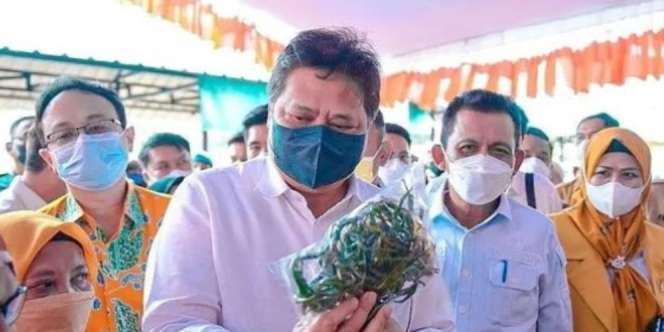 Kawal Operasi Pasar, Menko Airlangga Hartarto Cek Harga Minyak Goreng sampai Gula Pasar