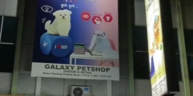 Viral Curhat Pemilik Petshop Kesal Sering Didatangi Ibu-ibu, Dikira Toko Sembako: Ada Promo Minyak Goreng?