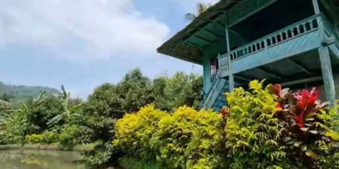 Video Vila 2 Lantai di Tengah Hutan Terbengkalai, Saat Masuk Lorong Terlihat Pemandangan Memprihatinkan