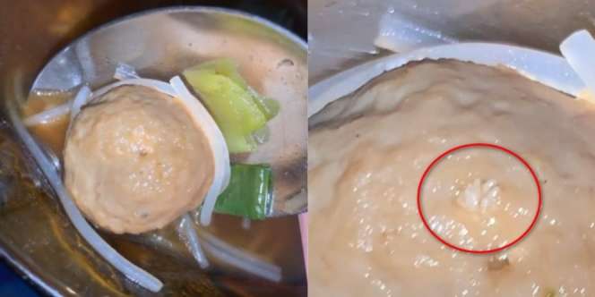 Hendak Melahap Bakso yang Sudah Disendok, Syok Lihat Butiran Putih Mirip Beras yang Dikira Daging