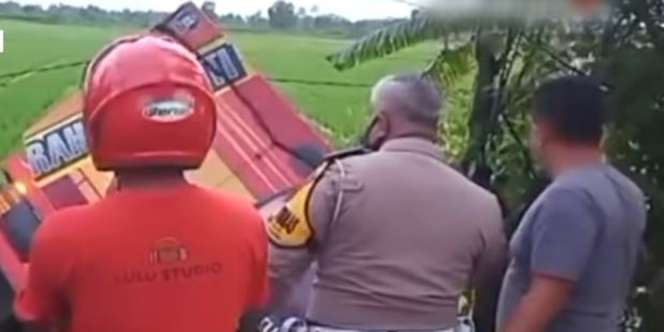 Miris, Truk Bermuatan Ikan Lele Nyungsep di Sawah, Isinya Malah Dijarah Warga