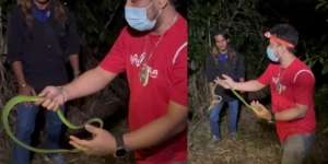 Cari Ular Naga Penghuni Lereng Gunung Sunda, Panji Petualang Malah Ketemu Ular Hijau Berbisa