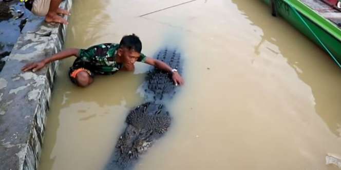 Santainya Pria Ini Main Bareng Buaya, Nggak Ada Takut-takutnya