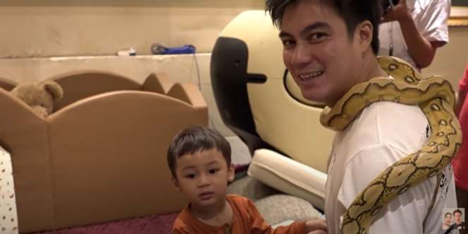 Panji Petualang Dapat Dua Sarang Ular di Rumah Baim Wong, Paula: Kok Bisa Ya?