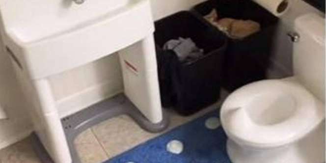 Viral Toilet Training Balita Pakai Mini Toilet