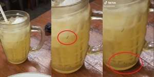 Pas Haus Banget Usai Makan, Saat Mau Minum Es Jeruk Auto Mual Lihat Banyak Jentik di Dasar Gelas