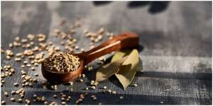 10 Manfaat Rendaman Air Ketumbar yang Bisa Menjaga Kesehatan Tubuh hingga Kecantikan