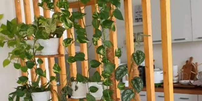 Buat Sendiri Partisi Cantik, Modalnya Hanya Rp600 Ribu