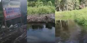 Seram! Detik-detik Petani Diserang Buaya di Kalimantan Utara, Sempat Teriak 'Uy' Sebelum Diseret Ke Kedalaman Sungai