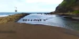 Terulang Lagi, Puluhan Orang Semedi di Lokasi Berbahaya Pantai Watu Ulo