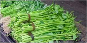 6 Manfaat Kangkung, Sayuran Tinggi Serat dan Vitamin yang Baik untuk Kesehatan Tubuh