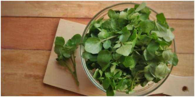 6 Manfaat Selada Air, Kaya Kandungan Vitamin dan Mineral yang Bisa Atasi Berbagai Penyakit