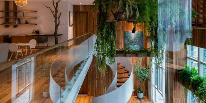 Bernuansa 'Hutan', Siapa Sangka Apartemen Bisa Sangat Asri