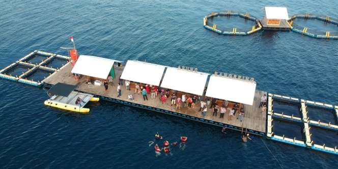 Festival Mentari, Upaya Pemkab Banyuwangi Lestarikan Sumber Mata Air
