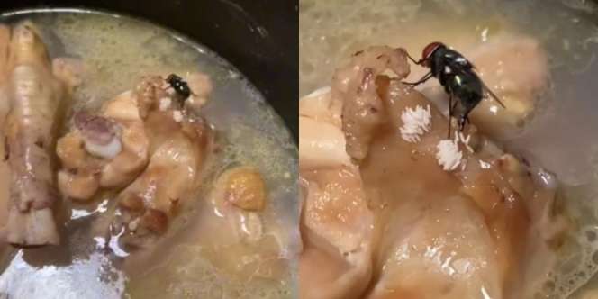 Mau Goreng Ayam Tapi Lihat Lalat Bikin Ulah Kayak Gini, Jijik Langsung Dibuang Semuanya