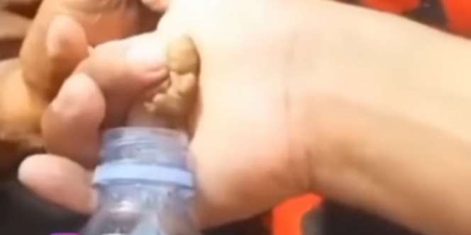 Heboh Penampakan Tuyul dalam Botol di Cirebon