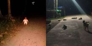 10 Momen Ngagetin di Tengah Jalan, Bikin Pengen Putar Balik!