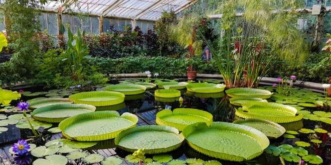 10 Taman Cantik di Dunia yang Paling Instagramable