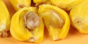 Manfaat Biji Nangka untuk Kesehatan Kulit dan Bantu Melancarkan Pencernaan