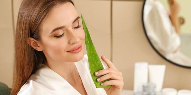 Manfaat Aloe Vera Gel untuk Memutihkan Kulit Ketiak Secara Alami