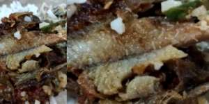 Komplain Lauk Buka Puasa Penuh Belatung, Wanita Ini Malah Diabaikan Pemilik Warung