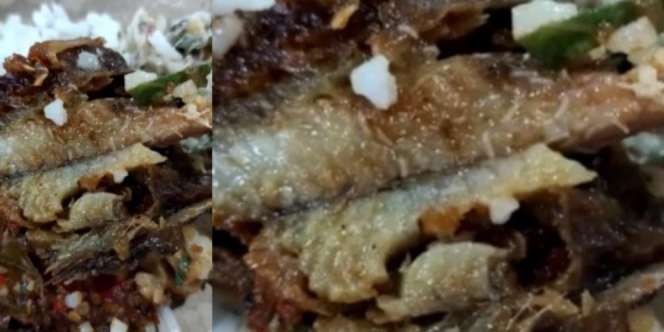 Komplain Lauk Buka Puasa Penuh Belatung, Wanita Ini Malah Diabaikan Pemilik Warung