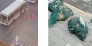 Lockdown Akibat Badai Covid-19 di Shanghai Bikin Warga Stres hingga Bunuh Diri, Hewan Peliharaan Dibunuh