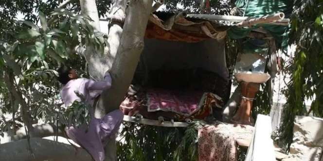 Terlalu Miskin, Pemuda Yatim Piatu Putuskan Jadi 'Tarzan': Tinggal di Rumah Pohon Selama 8 Tahun
