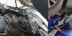 Niat Mau Reparasi Sensor Setir, Mekanik Bengkel Syok Temukan Piton Raksasa di Mesin Mobil
