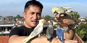 Ngeri, Irfan Hakim Diserang Spesies Burung Terbesar di Dunia