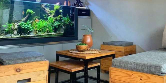 Ide Seru Ruang Tamu Mungil dengan Sekat Akuarium