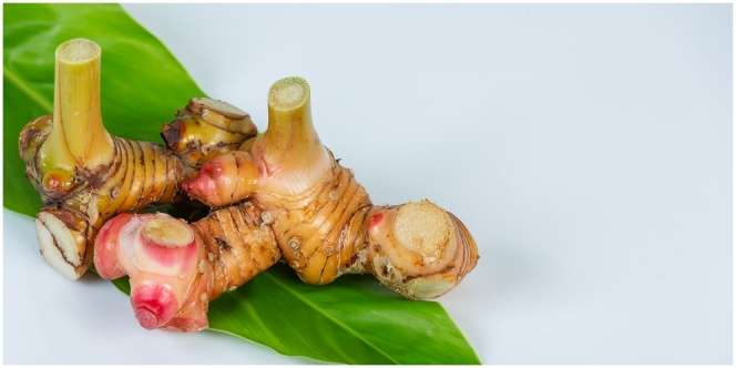 6 Manfaat Laos untuk Kesehatan Perempuan, Salah Satunya Bisa Mencegah Kanker Payudara
