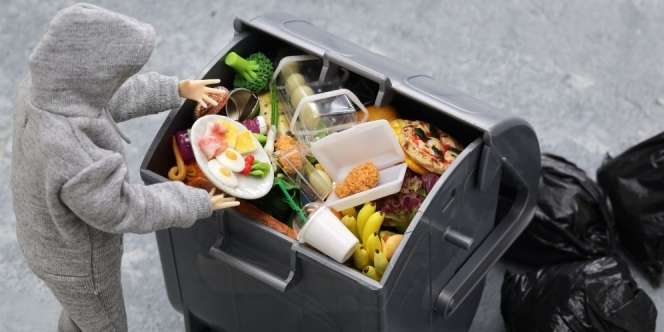 Demi Irit Duit, Pasangan Ini Rela Pungut Makanan dari Tempat Sampah, Bisa Hemat Rp36 Juta
