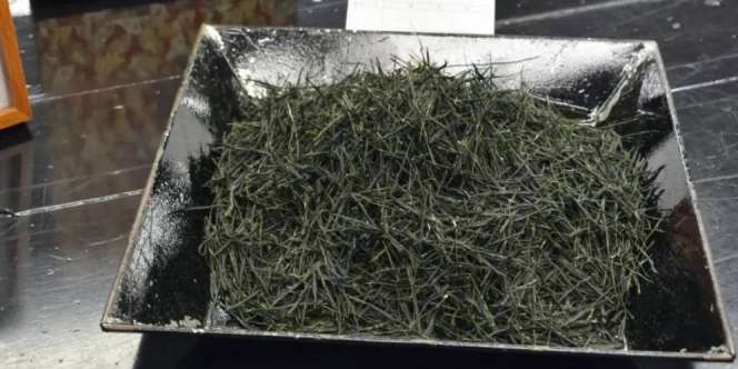 Heboh Satu Kilogram Daun Teh Terjual Rp224 Juta