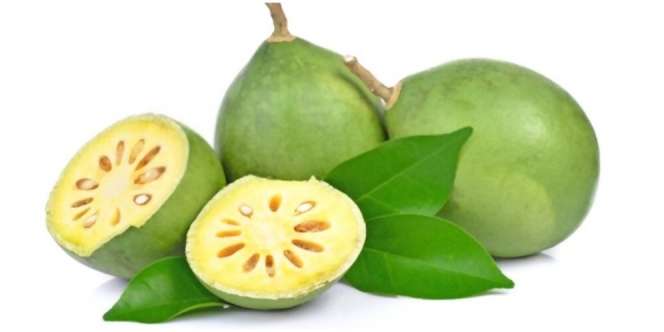 9 Manfaat Buah Maja yang Berkhasiat Mengatasi Berbagai Masalah Kesehatan