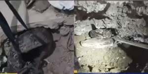 Geger! Ular 4 Meter Sembunyi di Kolong Rumah Warga Cilincing