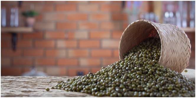 9 Manfaat Kacang Hijau bagi Ibu Hamil, Salah Satunya Bisa Mencegah Bayi Lahir Cacat