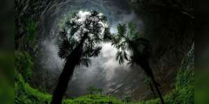 Ahli Temukan Lubang Raksasa di China, Ada Hutan Tersembunyi di Dalamnya