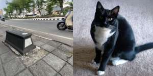 Misteri Makam Mini di Trotoar Jalan Solo-Sukoharjo Terungkap, Ternyata Kuburan Kucing Bernama Nyai Sembro