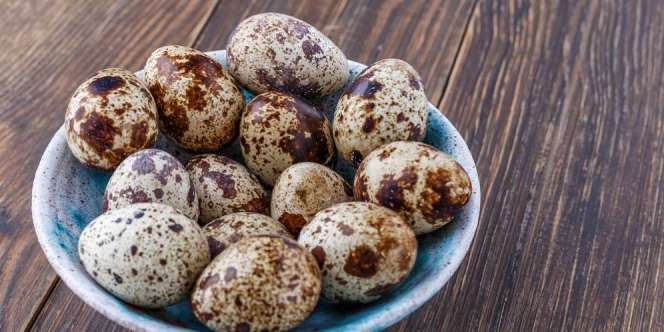 Level Kolesterol Telur Ayam vs Telur Puyuh, Mana yang Lebih Tinggi?