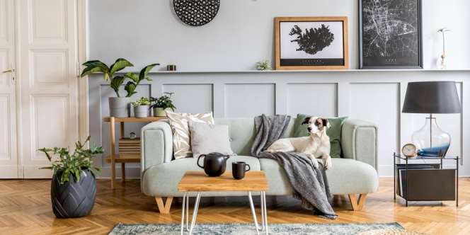 Bukan Hanya di Teras, Ini Area Indoor yang Juga Bisa Dipercantik dengan Tanaman Hias