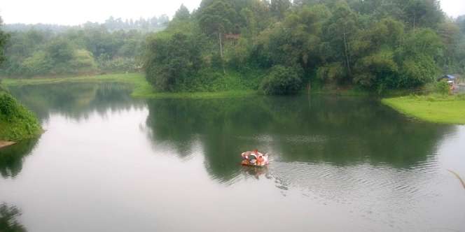 Mancing di Danau Lido Dapat Patin Raksasa Malah Banjir Cibiran Netizen, Begini Penampakan Ikannya
