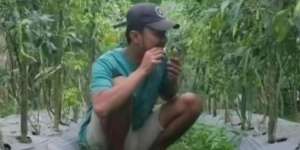 Viral Wisata Kebun Cabai Rp5 Ribu Makan Sepuasnya, Warganet: Langsung Mules