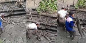 Bikin Bergidik! Kuras Kolam Dikira Lihat Batang Kayu, Malah Ketemu Lele Gendut Segede Lengan Orang Dewasa