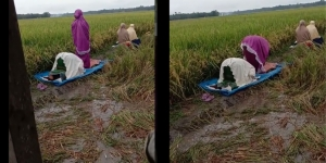 Masih Mengeluh Tak Sempat? Ibu Petani Tunaikan Sholat di Tengah Sawah Ini Seperti `Tamparan Keras`