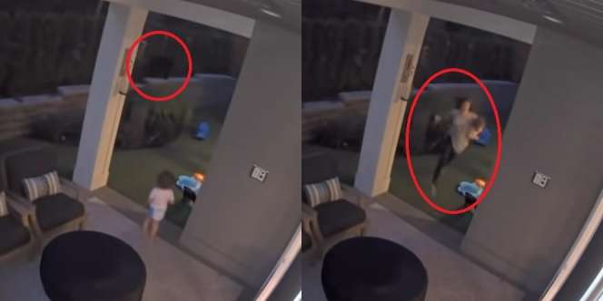 Video Detik-Detik Mendebarkan Ibu Selamatkan Bayinya dari Beruang Liar