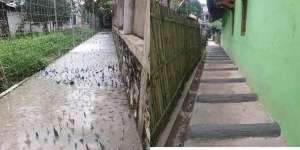 10 Potret Pembangunan Jalan Ini Nyeleneh Banget, Hasilnya Bikin Geleng-Geleng Kepala!